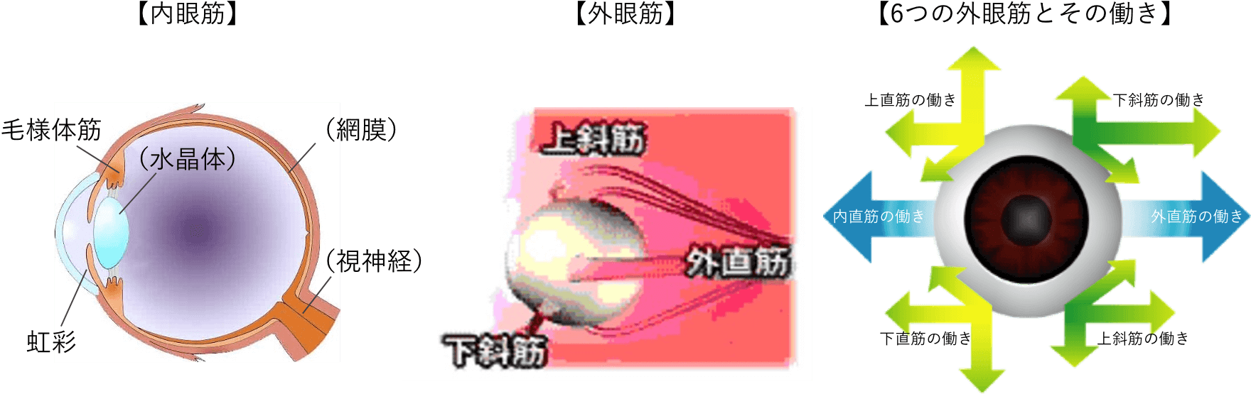 3D映像でストレッチができる仕組み